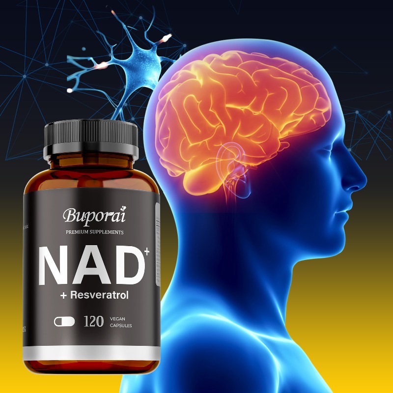 NAD+ supplementen - Anti-aging - Resveratrol Capsule Anti Aging recensie en prijs